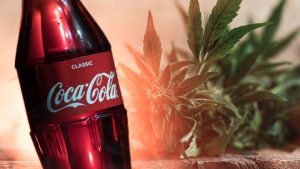 Coca Cola e Cannabis?