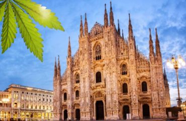 Milano è verde cannabis!