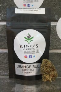 Orange Bud