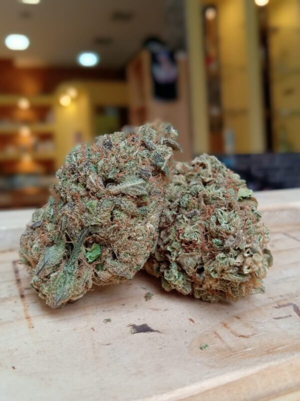 MANDARINE (CBD < 28%)